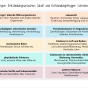 Beratungsmaterialien Entzündungen fetev-chronische-entzuendungen-trigger-ursachen.png